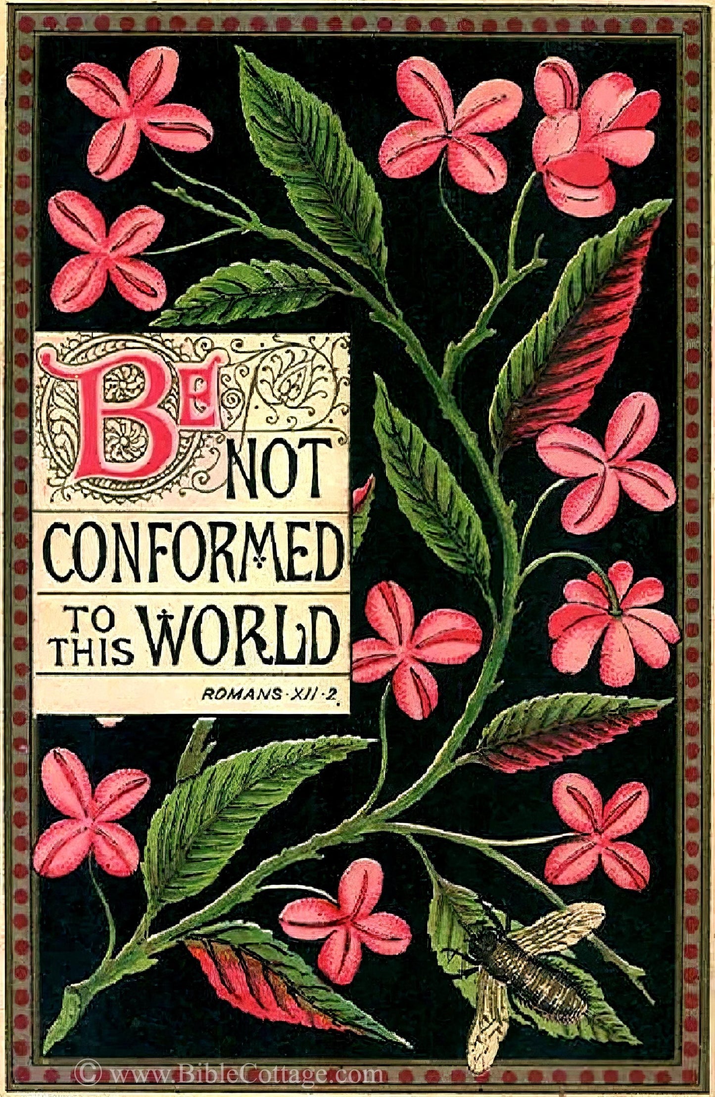 New! Be Not Conformed to This World – Romans 12:2 – Vintage Bible Art – Inspiring and Encouraging