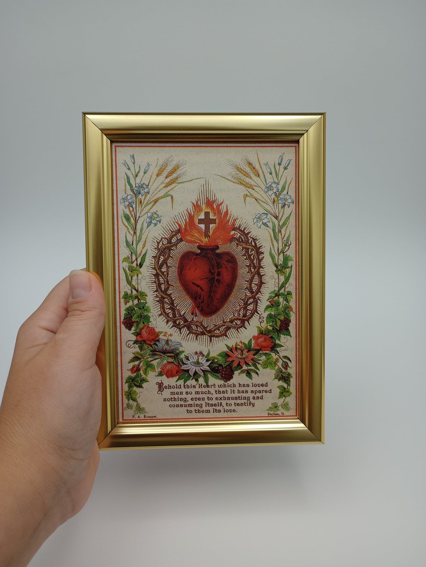 a hand holding a framed picture of a human heart