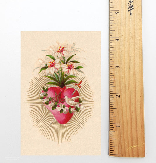 Holy Card – Immaculate Heart of Mary with Dove – pack of 10/100/1000 – Restored Vintage Holy Card