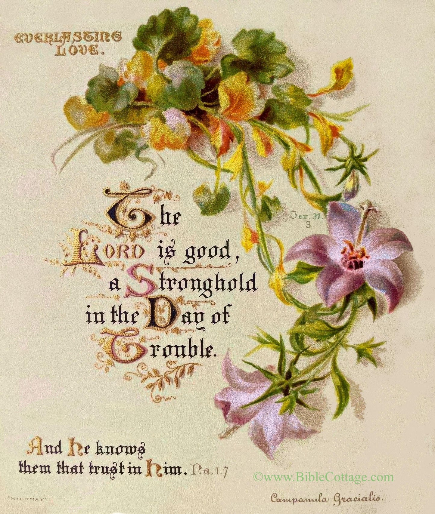 Everlasting Love – Jeremiah 31:3 – Nahum 1|7 – Campanula – Vintage Christian Art – Inspiring and Encouraging