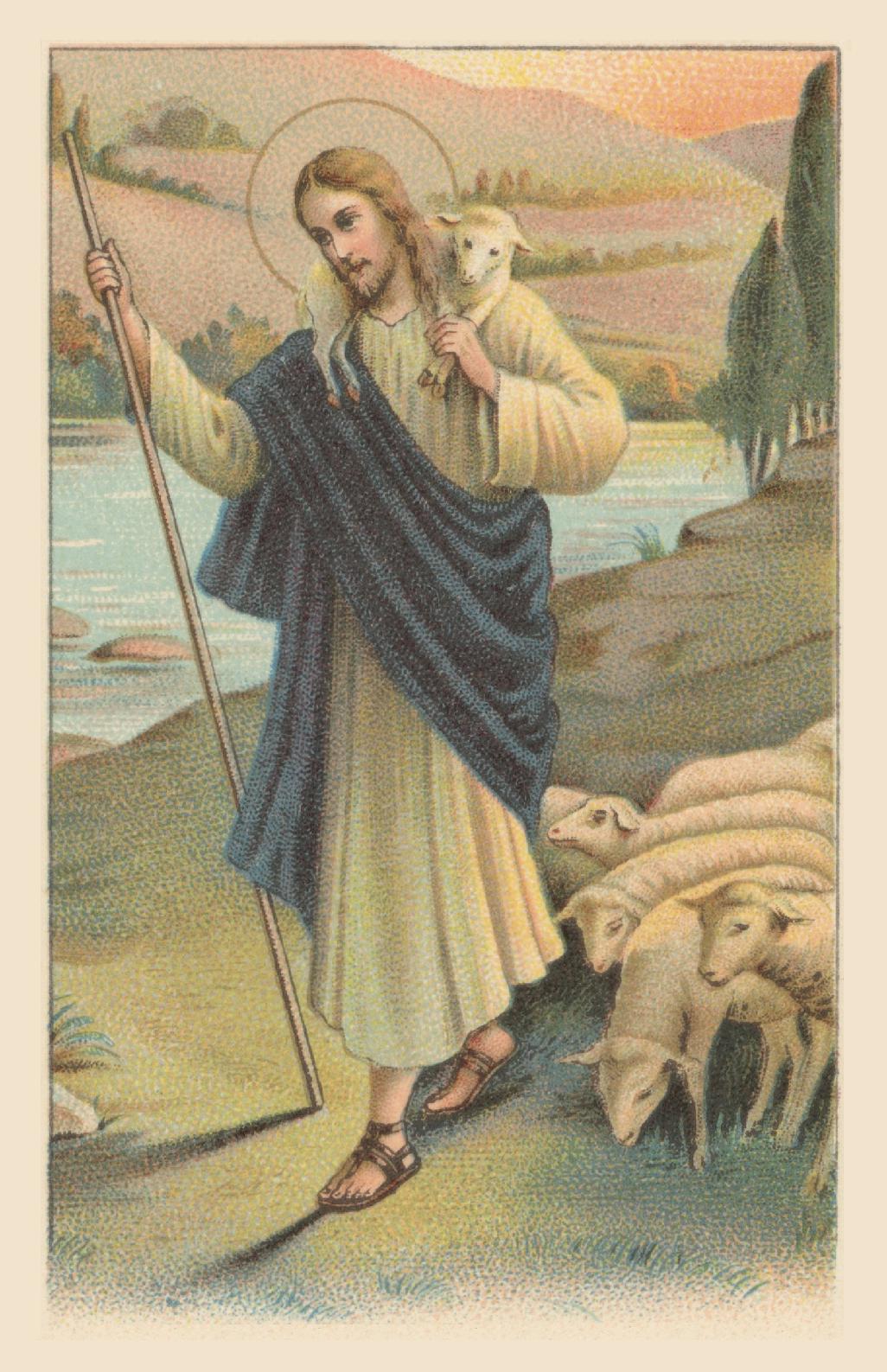 a shepherd tending to his flock of sheep in a pastoral setting, with mountains in the background.