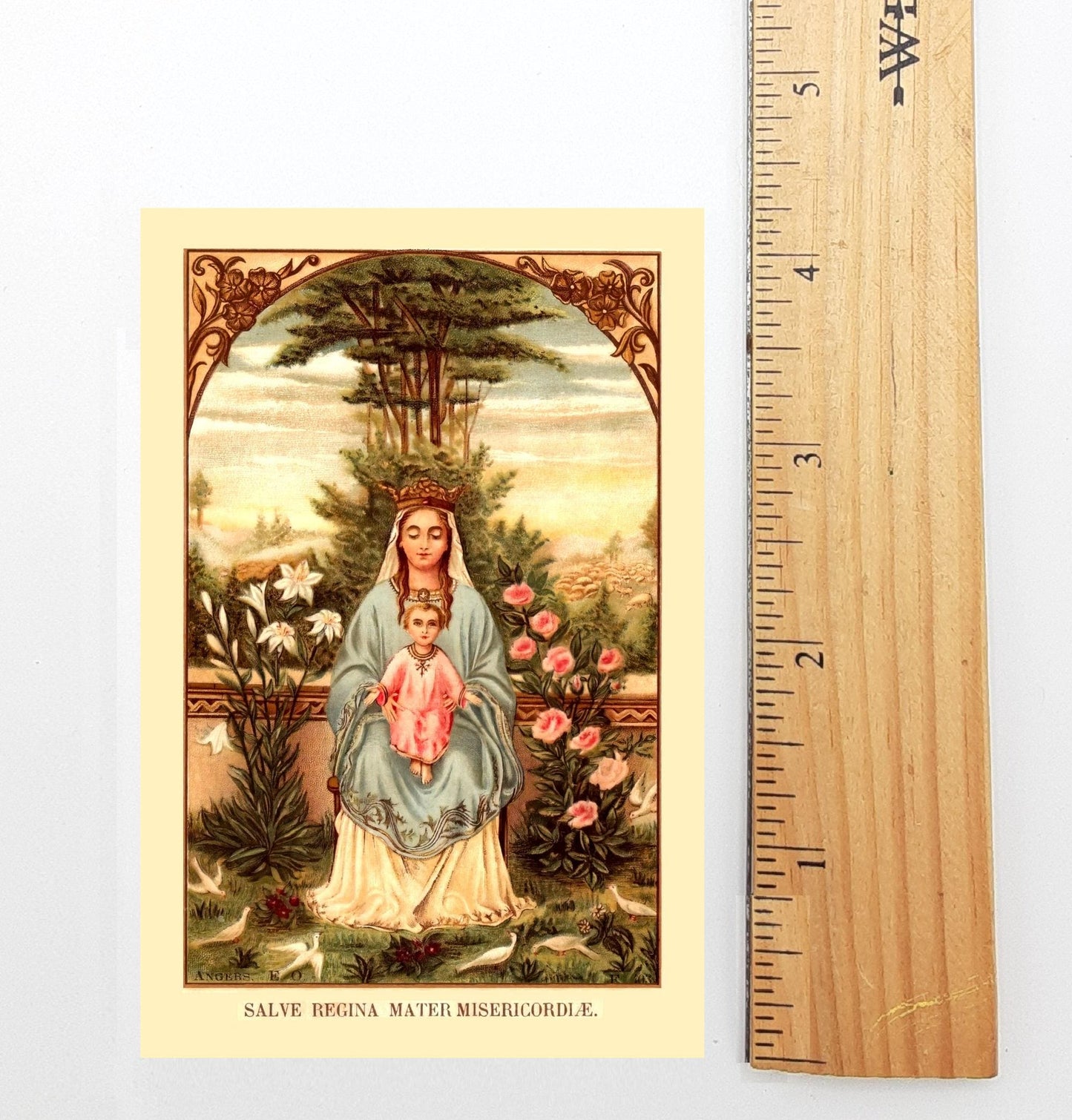 New! Hail Holy Queen Holy Card – Hail Holy Queen Prayer in English – pack of 10/100/1000 – Restored Holy Card