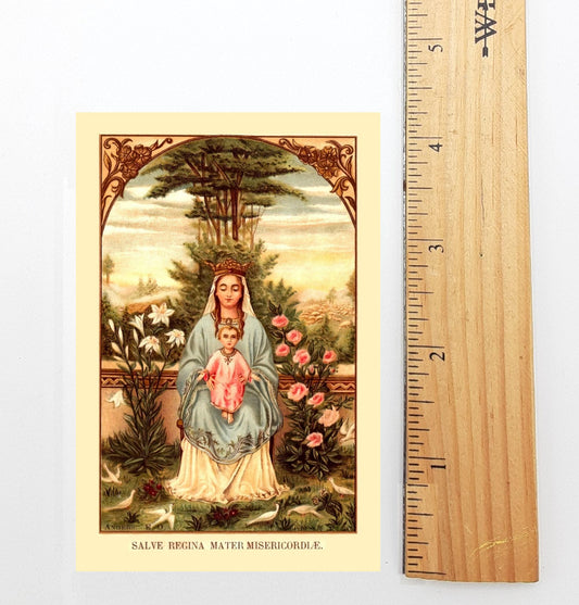 New! Hail Holy Queen Holy Card – Hail Holy Queen Prayer in English – pack of 10/100/1000  – Restored Holy Card