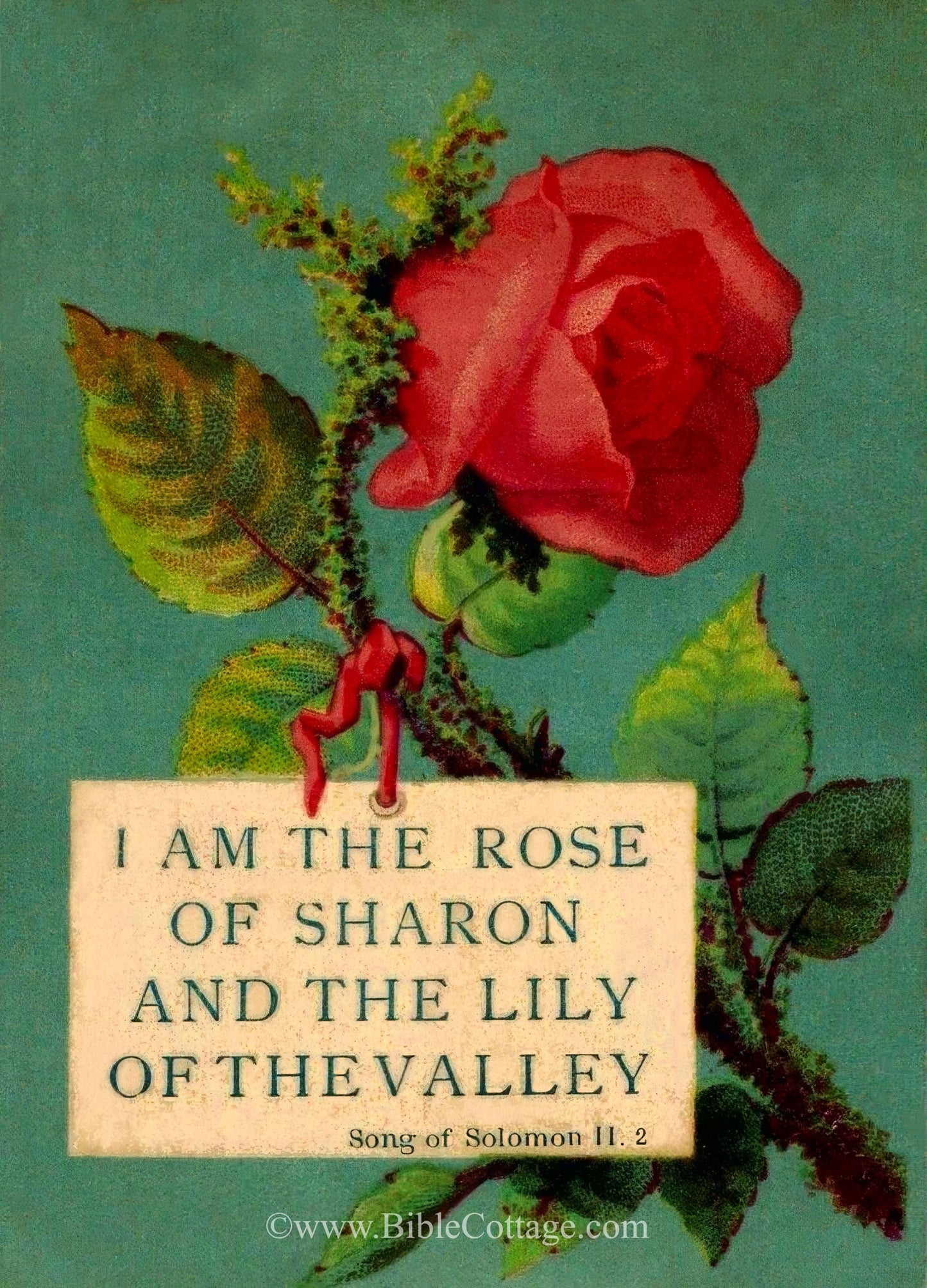 I Am the Rose of Sharon and the Lily of the Valley – Song of Solomon 11:2 – Vintage Christian Art – Inspiring and Encouraging