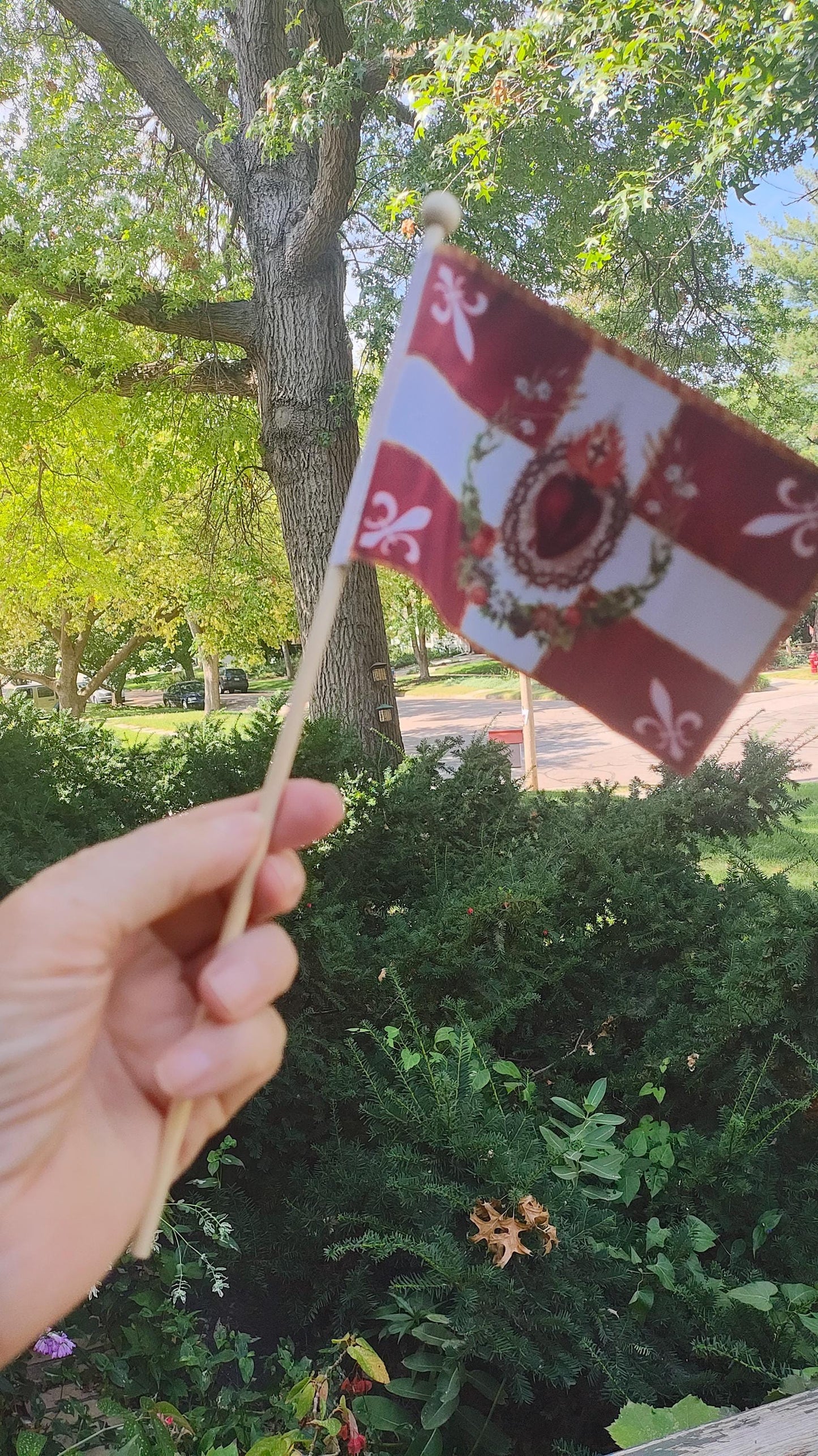 New! Mini Red Sacred Heart Flag - Our Exclusive Design - 1, 10, or 50