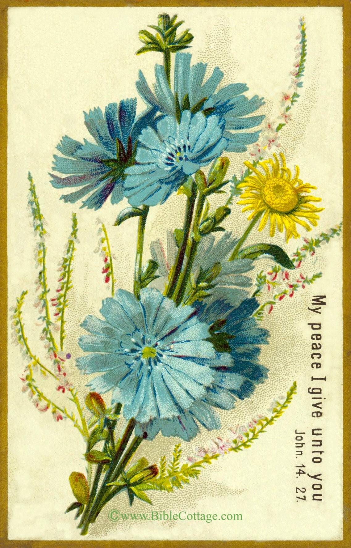 New! My Peace I Give Unto You – John 14:27 – Vintage Bible Art – Inspiring and Encouraging