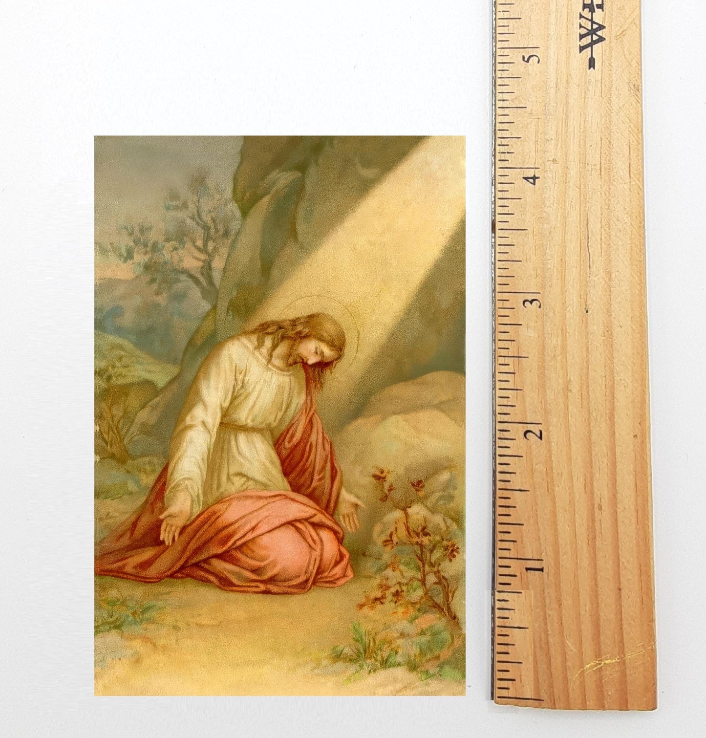 New! Agony in the Garden Holy Card #2 – pack of 10/100/1000  – Easter Holy Card