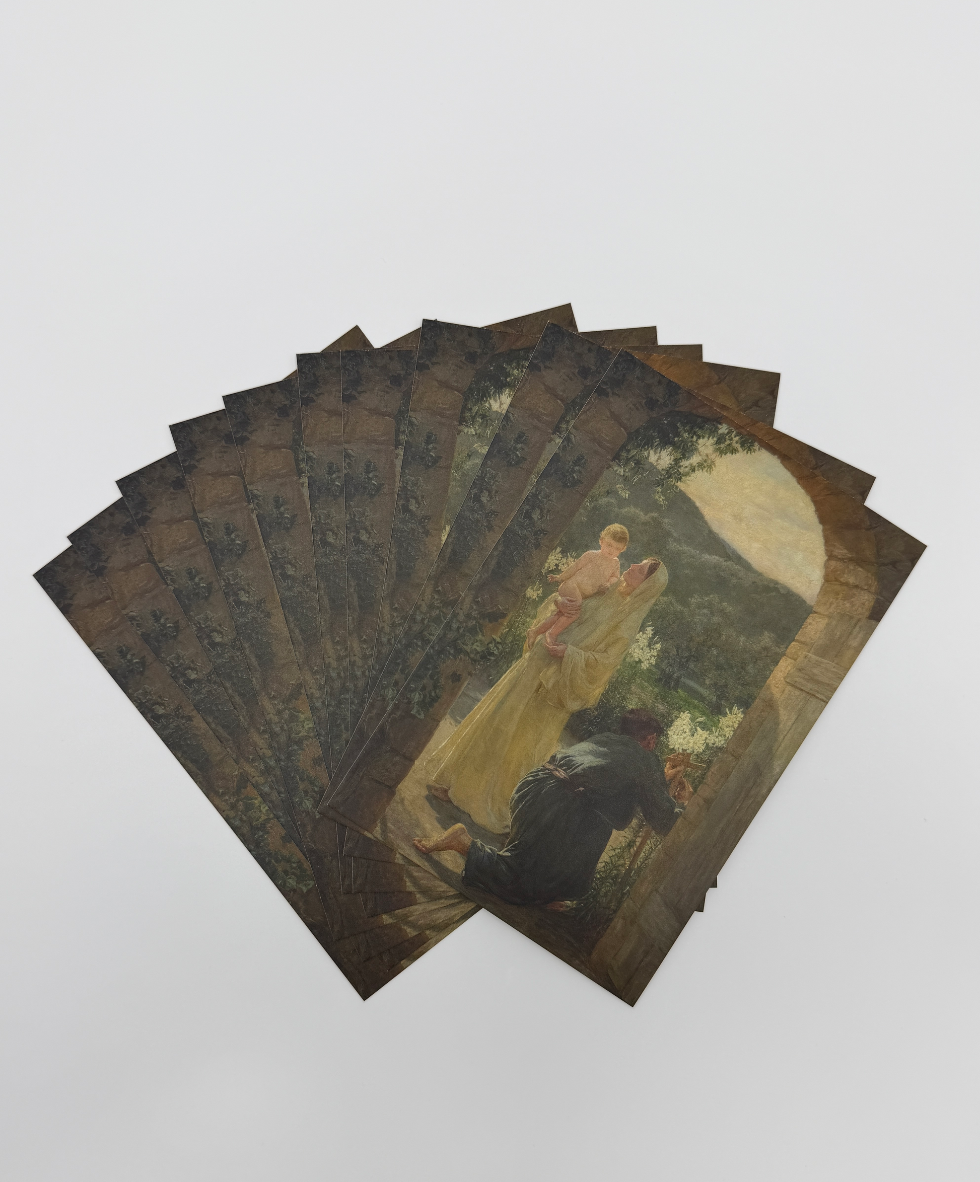 The image is a fan-like arrangement of several printed photographs, each depicting a different scene or subject.