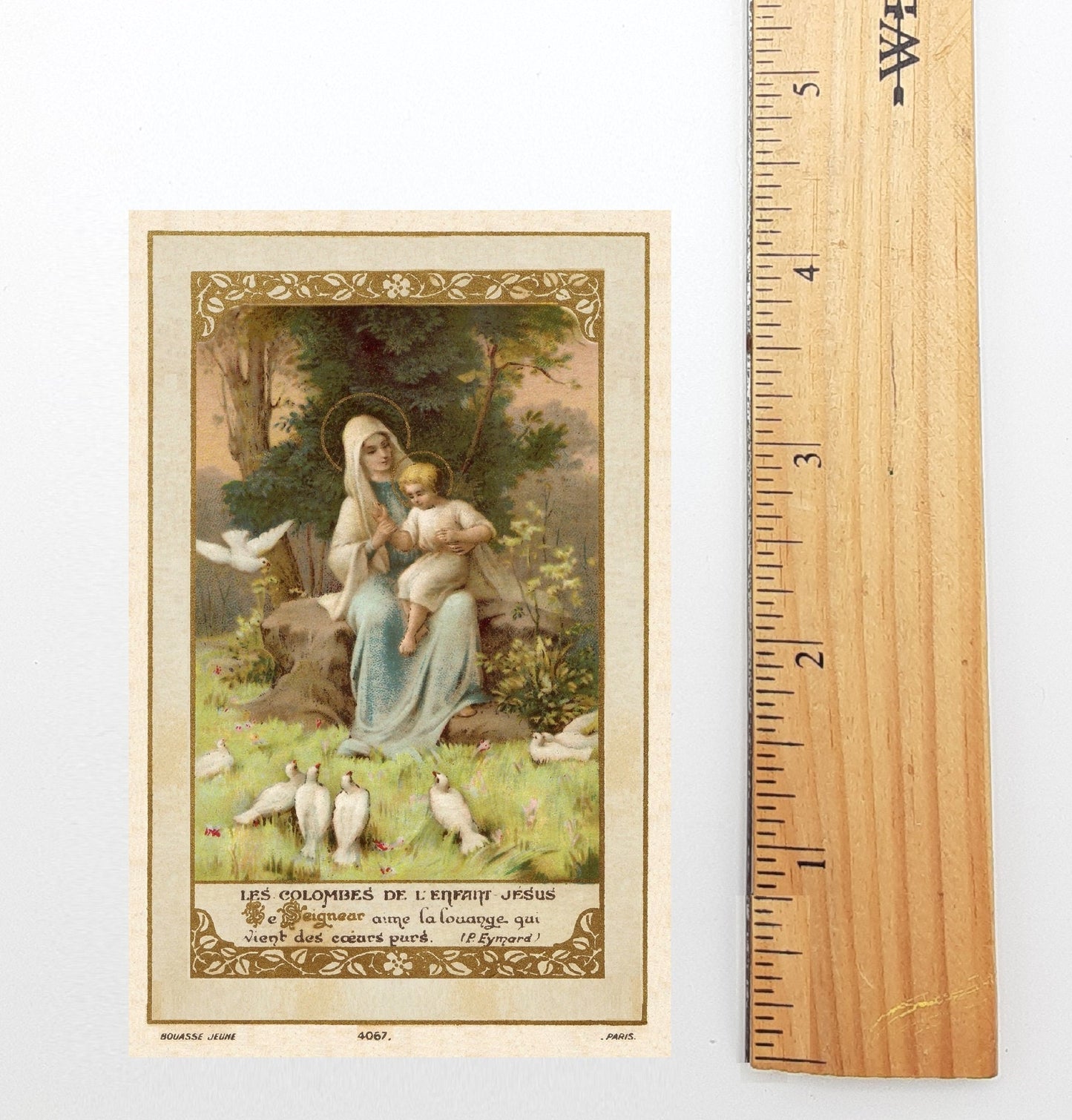 Holy Card – Doves of the Infant Jesus – pack of 10/100/1000 – Restored Vintage Holy Card