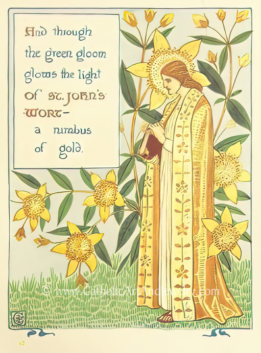 St. John’s Wort – Catholic Art Print – Catholic Gift
